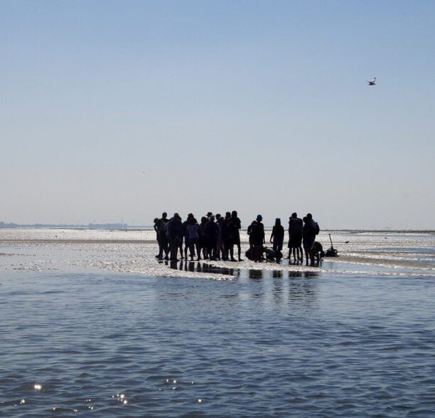 Wattwanderung an der Nordsee Wattwanderung - An der Nordsee wattwandern