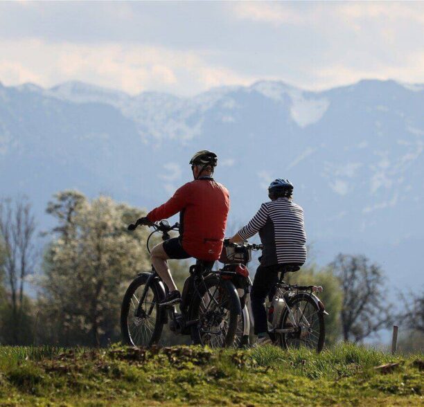 E Bike oder Pedelec Unterschied der Leicht Elektrofahrzeuge e bike oder pedelec unterschied