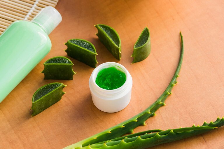 Hausmittel gegen Wespenstiche - Aloe Vera